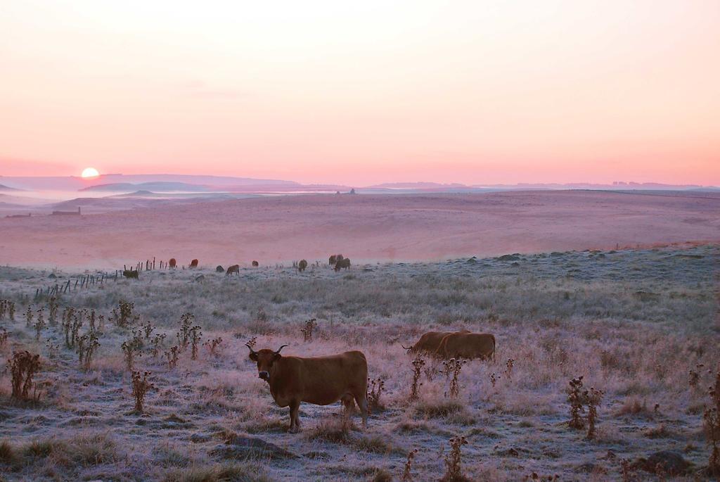Отель Vvf Aubrac Шодз-Эг Экстерьер фото